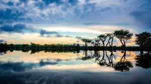 images (27)